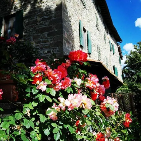 Podere I Rovai-apt IL RIFUGIO- in the heart of Tuscany，位于雷杰洛的酒店