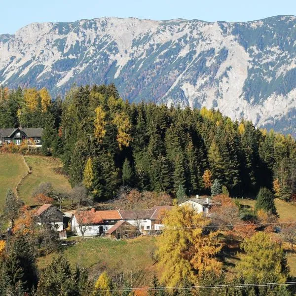 Ferienwohnung Holzer，位于赖兴瑙的酒店