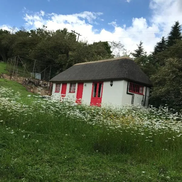 A Boat House，位于诺丁汉路的酒店