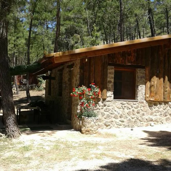 Cabaña en plena naturaleza Parque Natural Río mundo，位于Molinicos的酒店