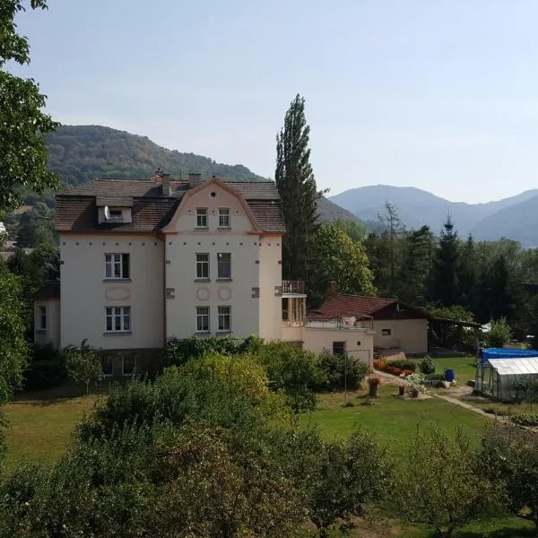 Villa Federer，位于Dolní Zálezly的酒店