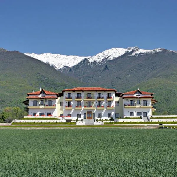 贝勒斯别墅酒店，位于Káto Poróïa的酒店