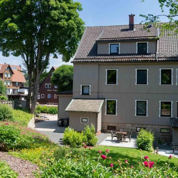 StrandBerg's Harzchalet，位于布劳恩拉格的酒店