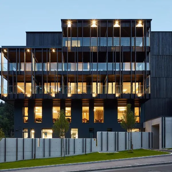 瓦德霍夫酒店，位于滨湖采尔的酒店