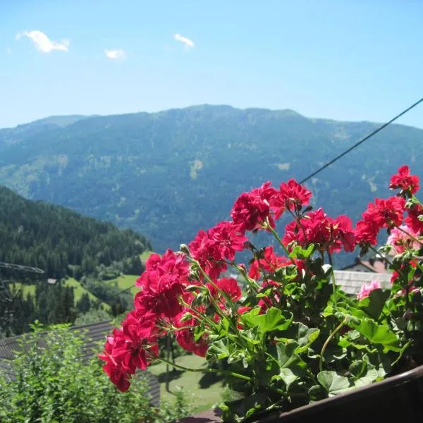 Two Family Appartement near Bad Kleinkirchheim，位于拉登泰因的酒店