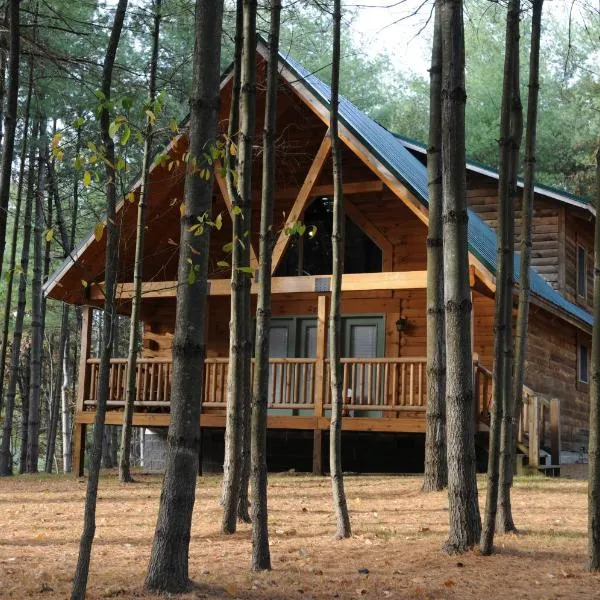 The Cabins at Pine Haven - Beckley，位于Hinton的酒店