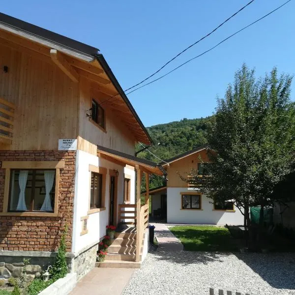 Guest House Carpathia，位于上维谢乌的酒店