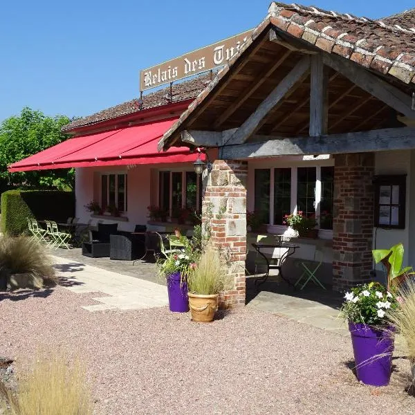 le Relais des Tuileries，位于Oradour-sur-Vayres的酒店