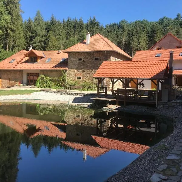 Zevlův mlýn，位于捷克韦莱尼采的酒店