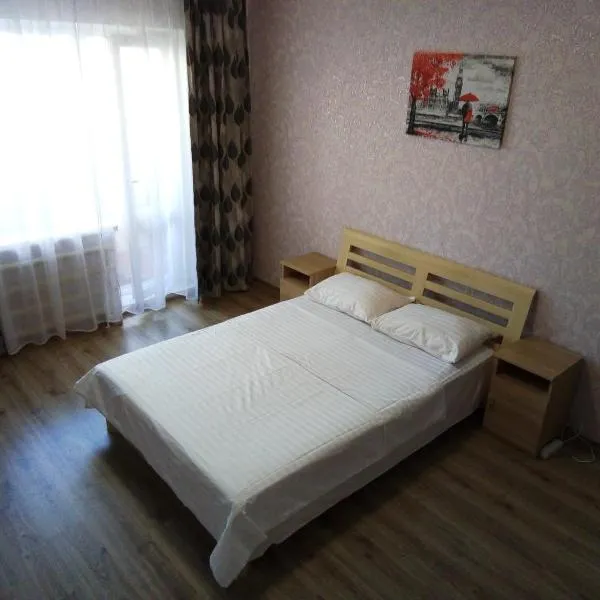 Apartment on Kharkovskoe Shosse 170 b，位于鲍里斯皮尔的酒店