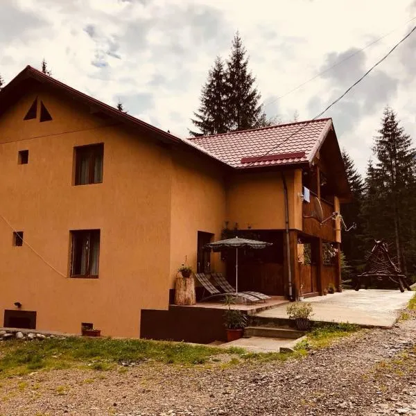 Cabana Cory Râușor，位于莫里河乡的酒店
