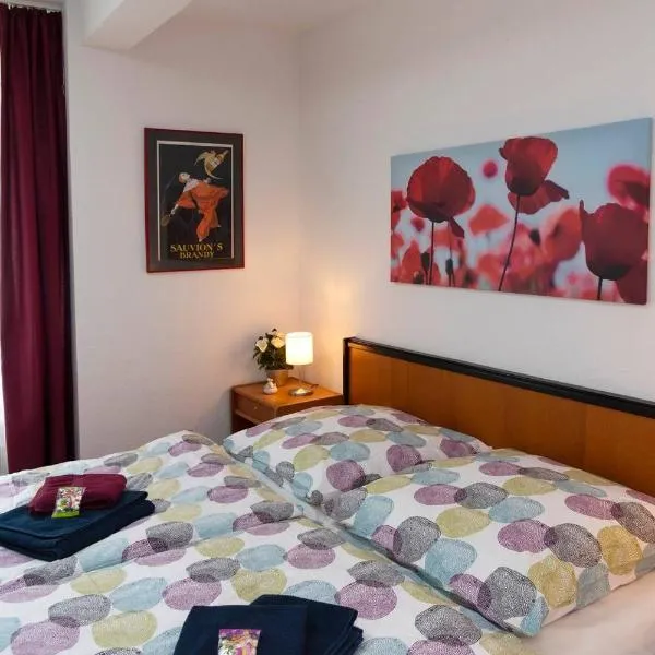 Parkblick Appartement - Entspannung pur!，位于Ober-Hambach的酒店