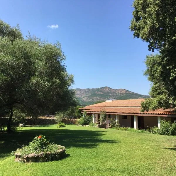 Agriturismo Su Pirastru，位于Berchiddeddu的酒店