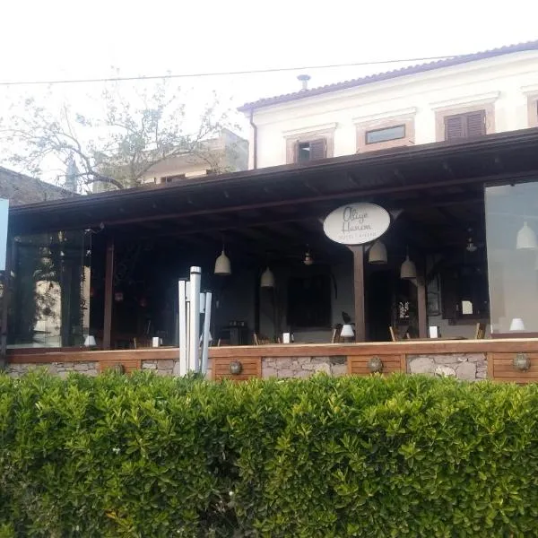 Aliye Hanim Hotel，位于艾瓦勒克的酒店