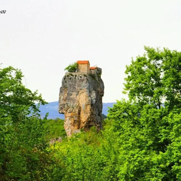 Butichi Guest House，位于Gogni的酒店