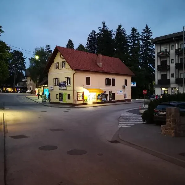 Bus Station Beds，位于布莱德的酒店