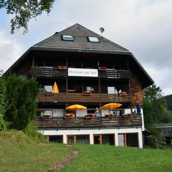 Pension am See，位于Menzenschwand-Hinterdorf的酒店