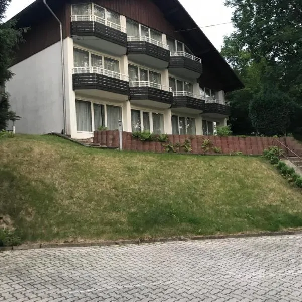 Penz in Wolfshagen，位于Hahausen的酒店