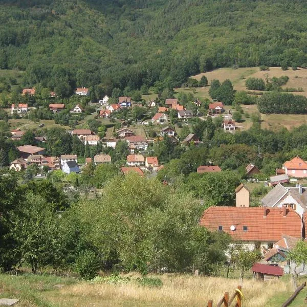 Aux coeurs de la vallée，位于Rombach-le-Franc的酒店