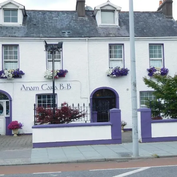 Anam Cara B&B，位于Ballinhassig的酒店