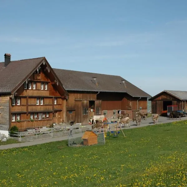 Ferienwohnung Brülisauer，位于Oberriet的酒店