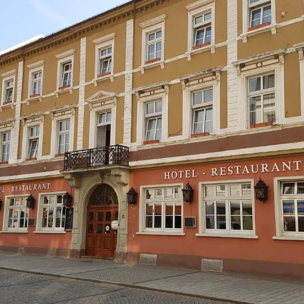 Hotel Sachsenhof，位于Zeithain的酒店