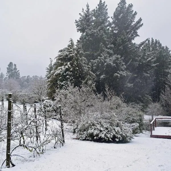 Windrush on Hogsback，位于豪格斯拜克的酒店