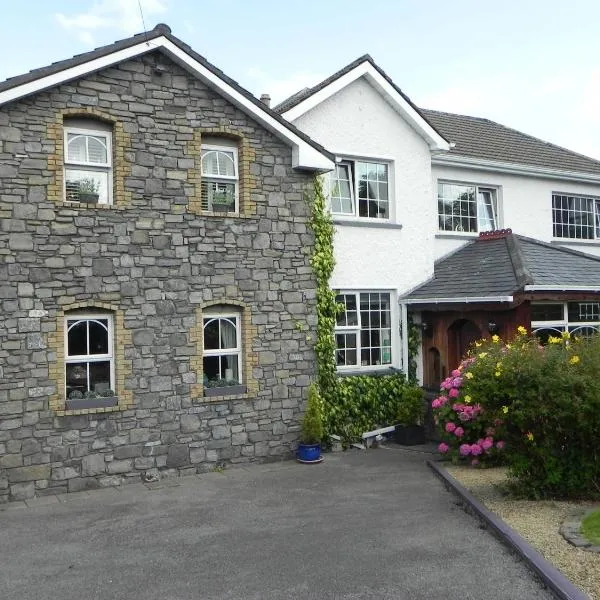 Pearse Lodge，位于巴利高利的酒店
