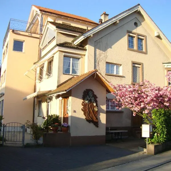 尼罗斯住宿加早餐旅馆，位于巴塞尔的酒店