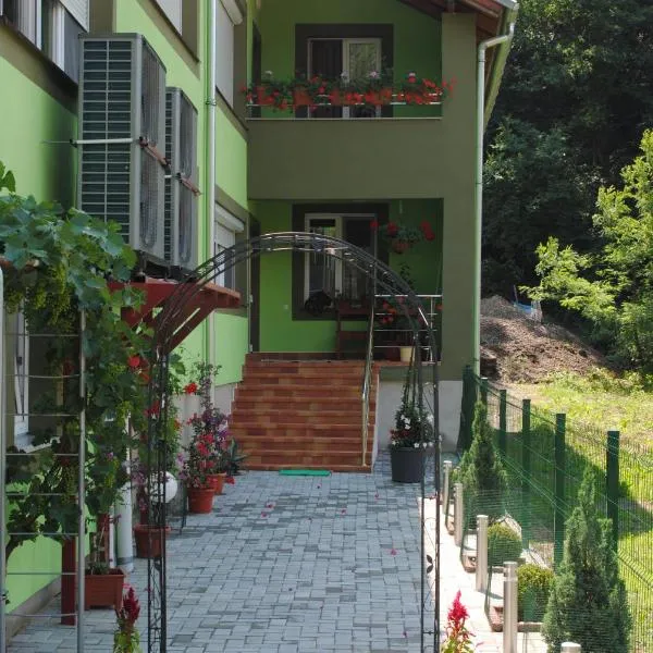 Casa Flori de Nuc，位于Sebiş的酒店