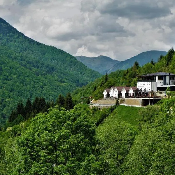 Hotel Panorama Rugove，位于佩奇的酒店
