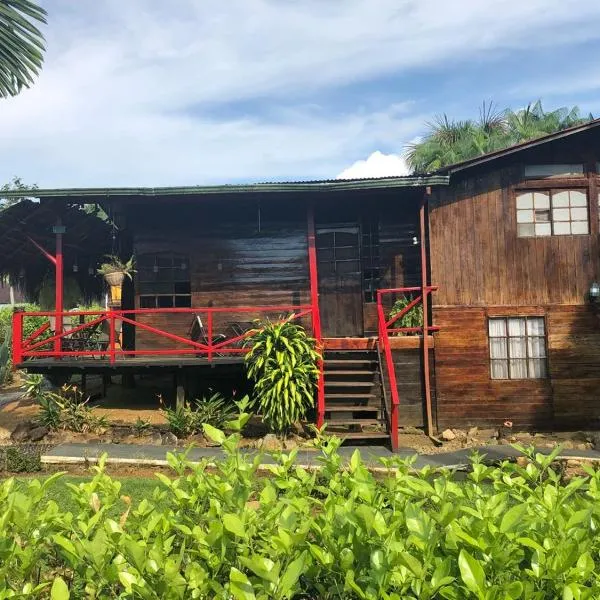 Posada turística Quenari Wii，位于Mitú的酒店