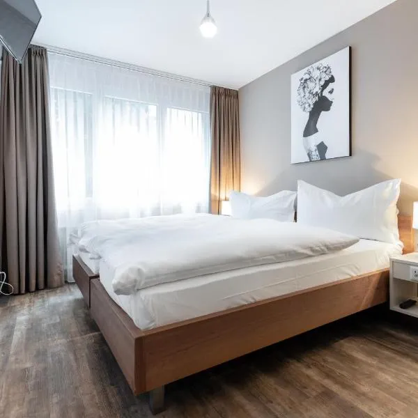 Hotel Birsighof Basel City Center，位于Bettingen的酒店