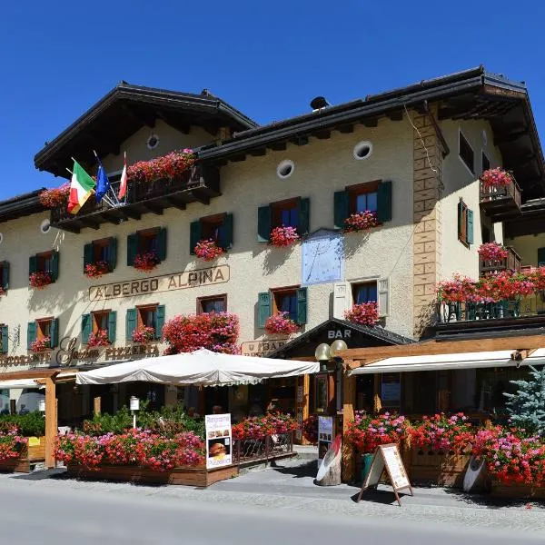 Hotel Alpina，位于Madonna del Soccorso的酒店