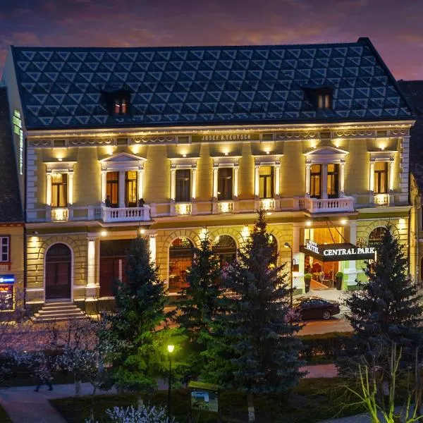 锡吉什瓦拉中央公园酒店，位于Brădeni的酒店