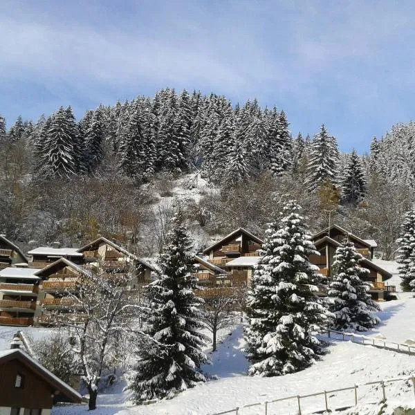 La Plagne/Champagny Studio，位于尚帕尼恩瓦努瓦茲的酒店