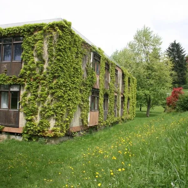 Wildbach Appartement，位于Ober-Hambach的酒店