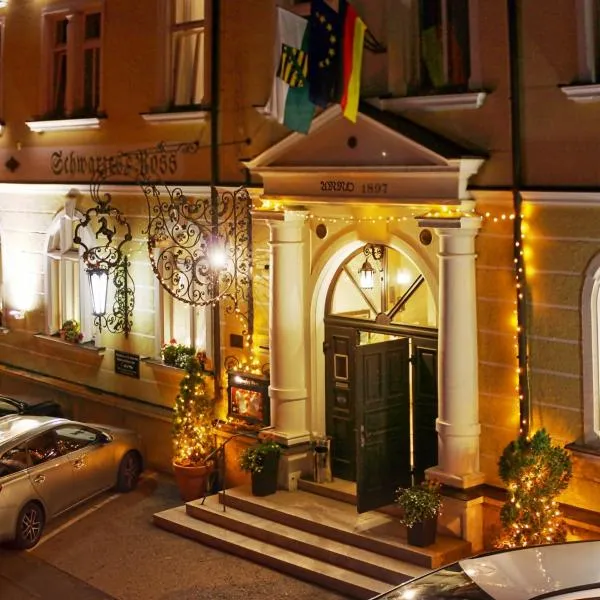 Hotel Schwarzes Ross Siebenlehn，位于Siebenlehn的酒店