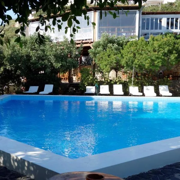 克里特岛乡村公寓式酒店，位于Pachia Ammos的酒店