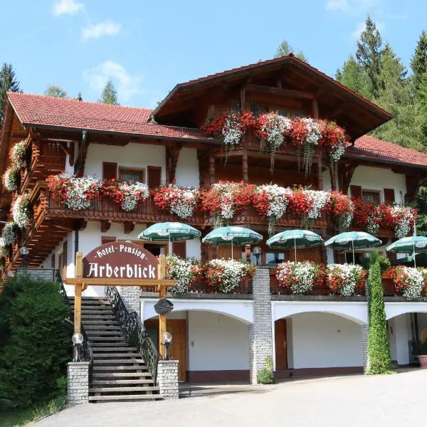 GarniHotel - Arberblick，位于Schwarzenbach的酒店