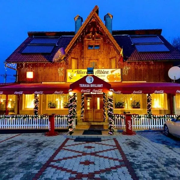 Aterman House，位于Şinca Veche的酒店