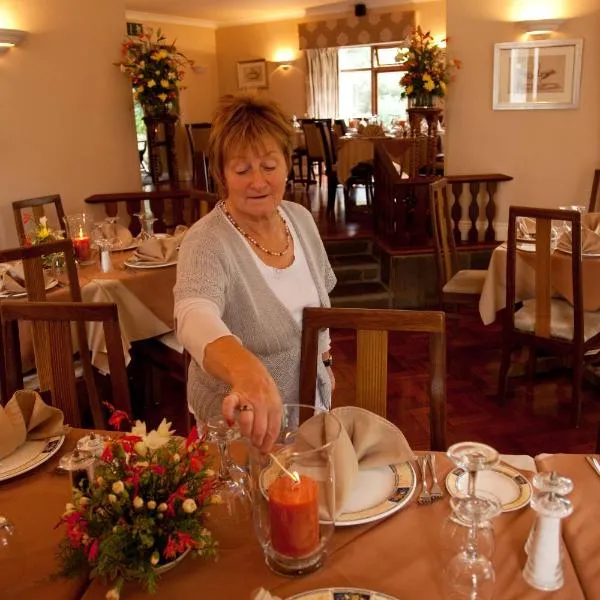 哈诺拉小屋旅馆及餐厅，位于Ballymacarbry的酒店