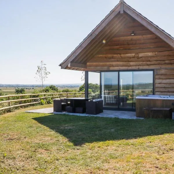 Heron Lodge Castle Farm，位于Wedmore的酒店