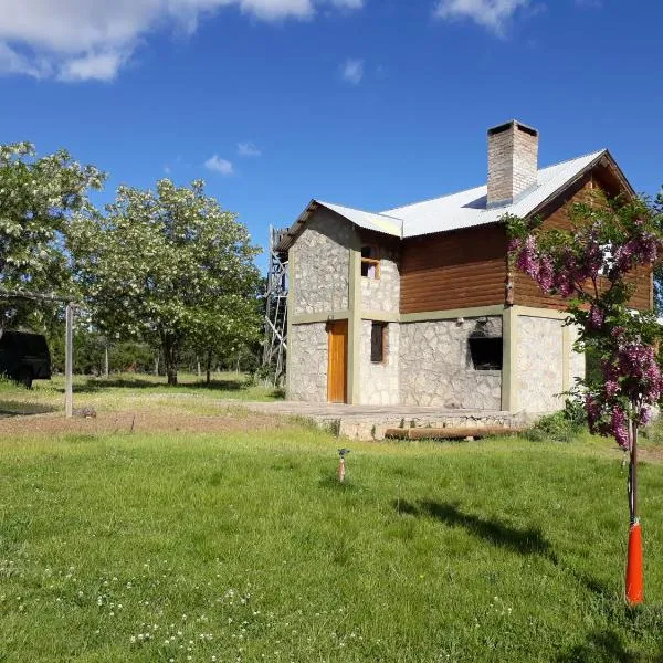 Alauri Ñire，位于Huinganco的酒店