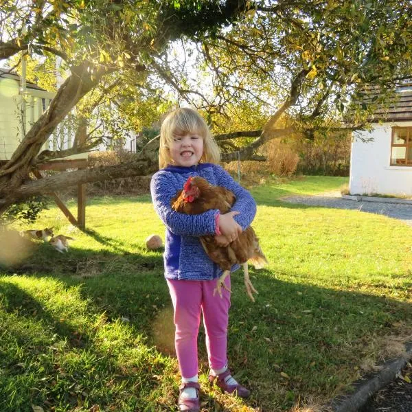 Letterfrack Farm Cottage in village on a farm beside Connemara National Park，位于伦维尔的酒店