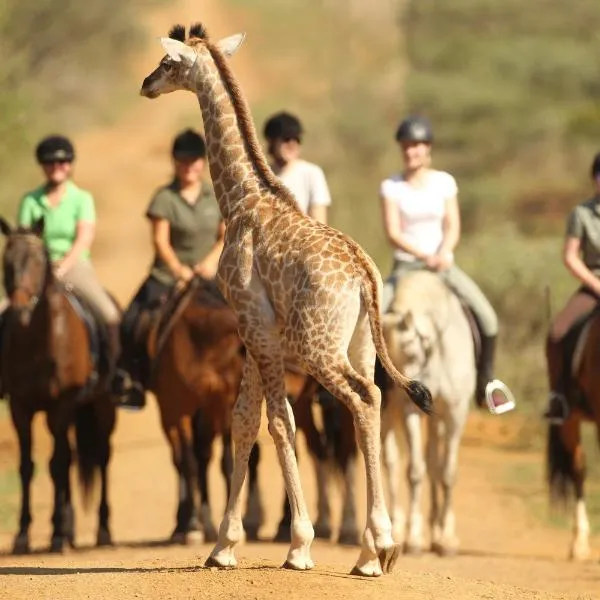 Pakamisa Private Game Reserve，位于蓬戈拉的酒店