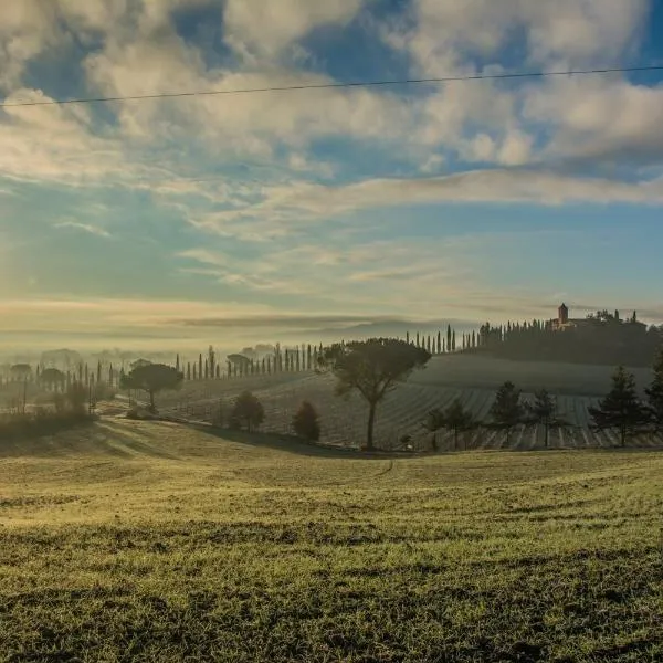 Agriturismo La Ripolina，位于蒙塔尔奇诺的酒店