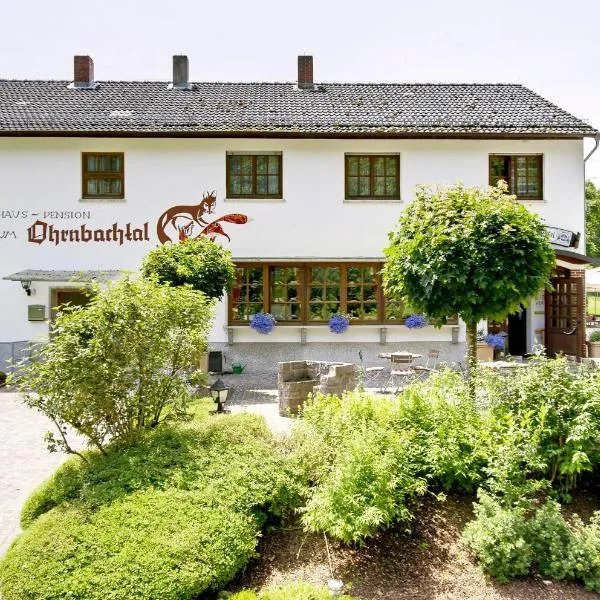 霍恩巴赫宾馆及乡村酒店，位于Dorf Erbach的酒店