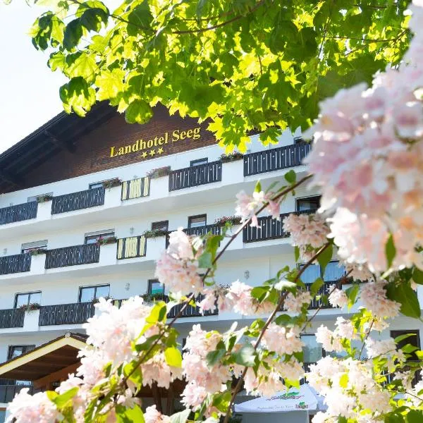 斯格兰德酒店，位于Hafenegg的酒店