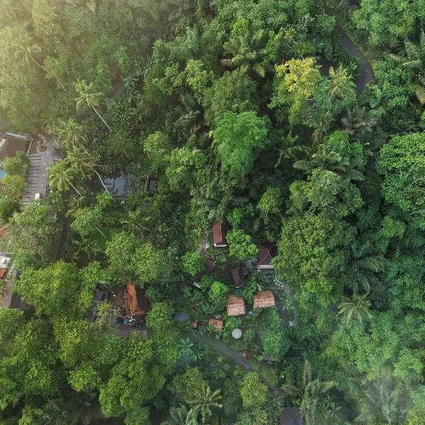 Bali Jungle Resort，位于德格拉朗的酒店